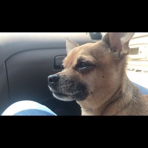 Meet your Posher, Tara